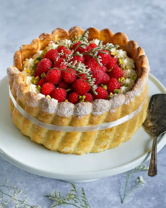 French Raspberry Charlotte Cake